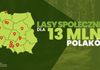 Powstają mapy lasów społecznych