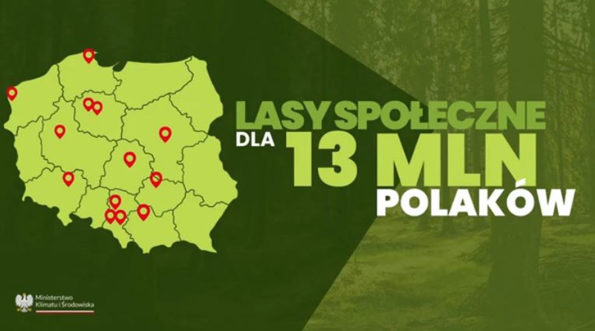 Powstają mapy lasów społecznych