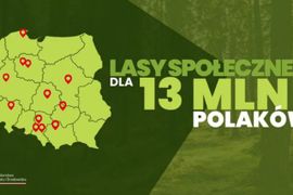 Powstają mapy lasów społecznych