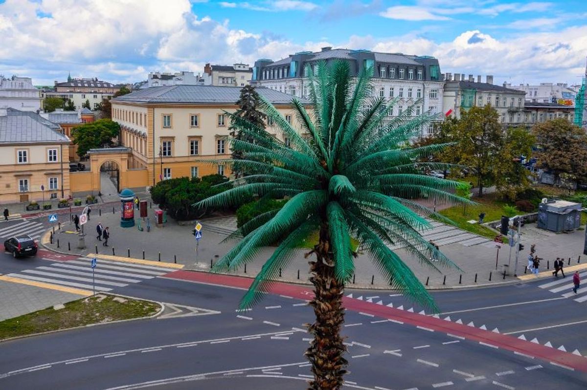 Fot. Cezary Warś / UM Warszawa
