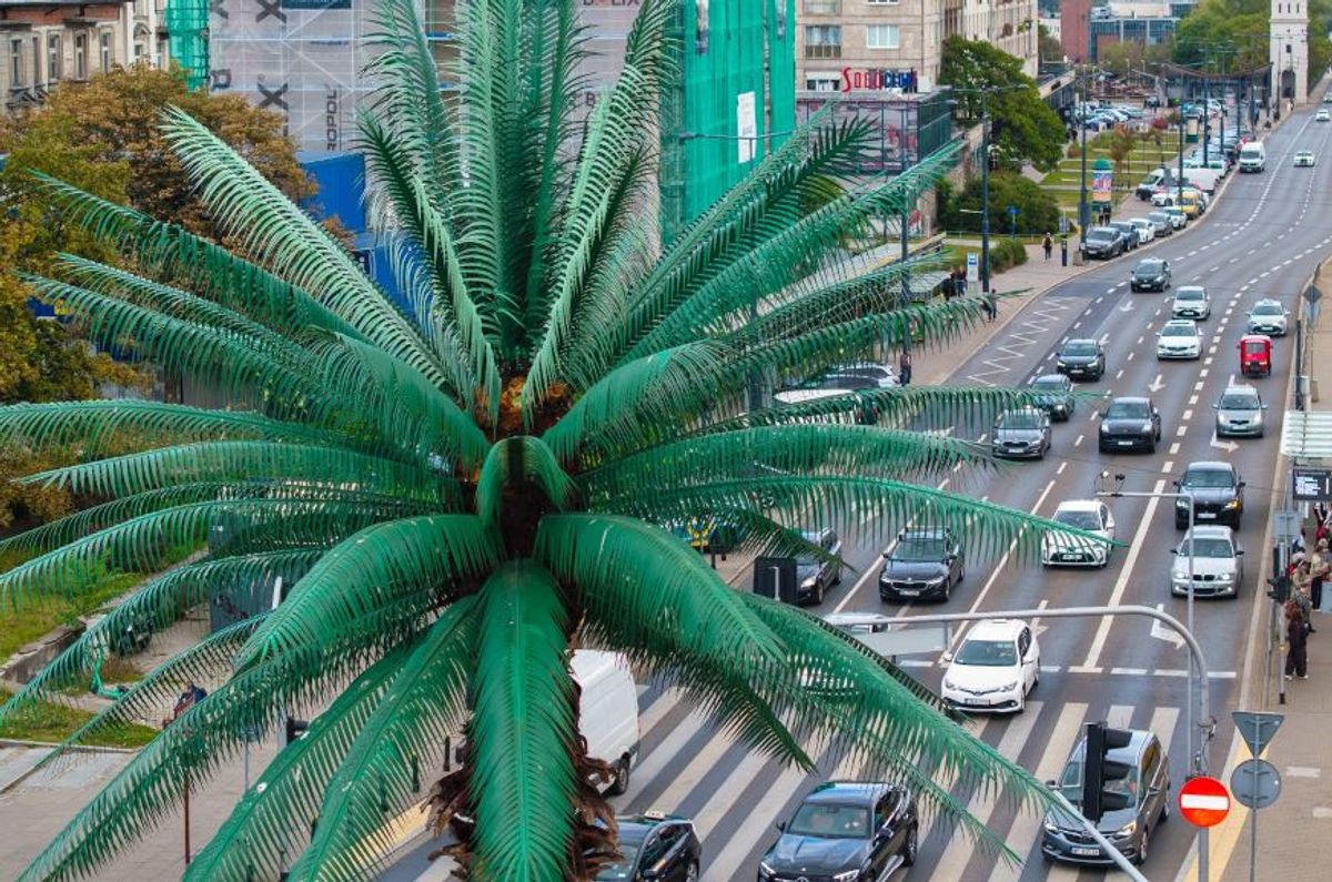 Fot. Cezary Warś / UM Warszawa