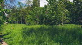 Wrocław: Firma Retencja oczyści i zagospodaruje część parku Pilczyckiego