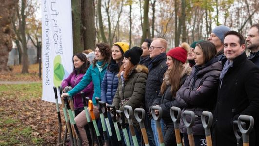 Zabytkowy park w Pietrzykowicach pod Wrocławiem otrzymał nowe drzewa