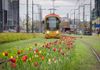 Tramwaje Warszawskie ogłaszają ponowne postępowanie przetargowe na dostawy 62 nowych tramwajów dwukierunkowych