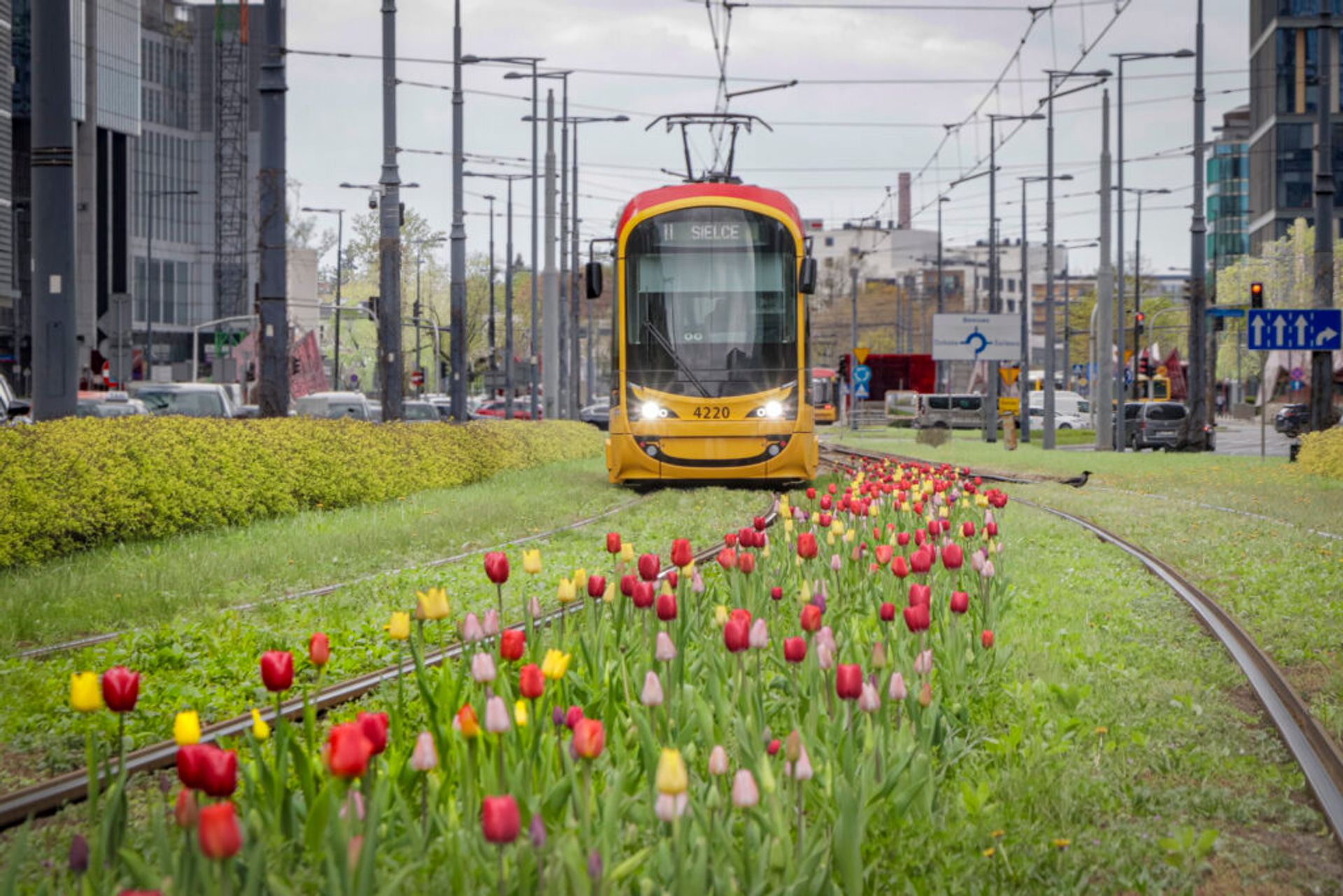 Tramwaje Warszawskie ogłaszają ponowne postępowanie przetargowe na dostawy 62 nowych tramwajów dwukierunkowych