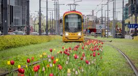 Tramwaje Warszawskie ogłaszają ponowne postępowanie przetargowe na dostawy 62 nowych tramwajów dwukierunkowych