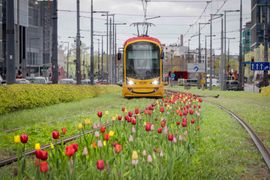 Tramwaje Warszawskie ogłaszają ponowne postępowanie przetargowe na dostawy 62 nowych tramwajów dwukierunkowych