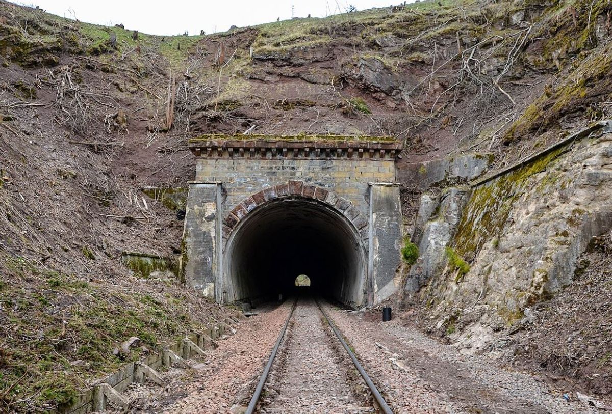 Fot. Mateusz Małkowski - Licencja CC BY-SA 4.0 pl - pl.wikipedia.org/wiki/