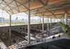 Port Polska: rozpoczynają się rozmowy z czterema konsorcjami, które chcą wybudować tunel i dworzec pod nowym lotniskiem
