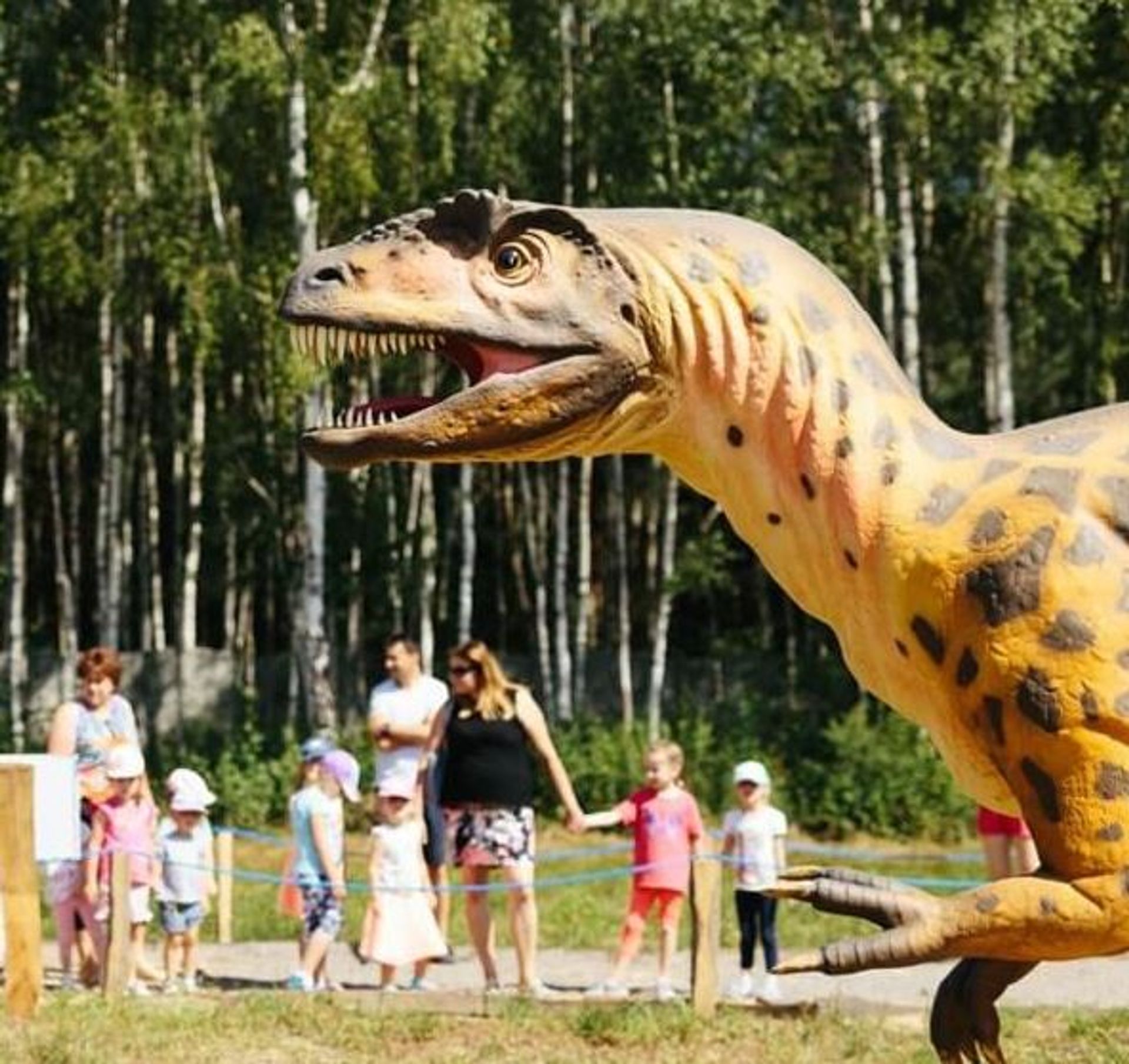 Otwarto największy Park Dinozaurów na Podkarpaciu