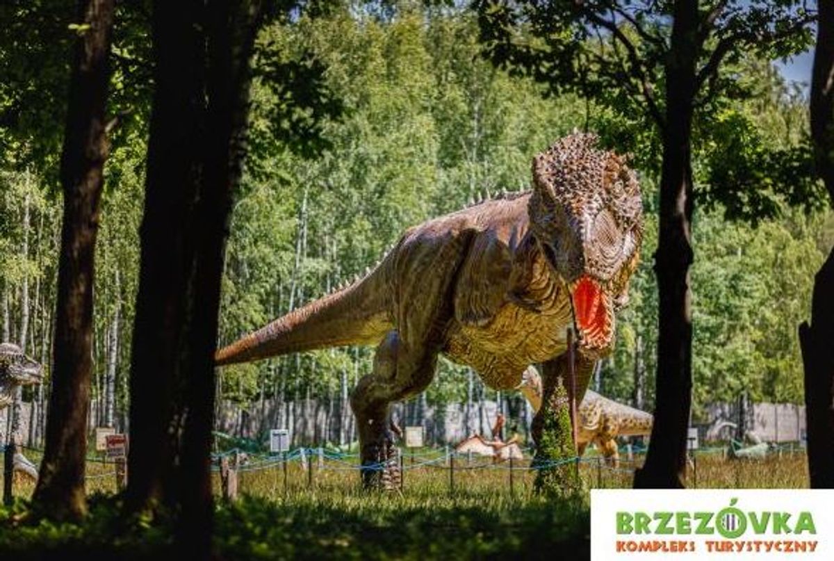 Fot. brzezovka.pl