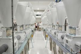  GoodMills Polska rusza z nową linią przemiałową w Kutnie