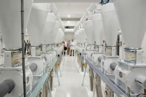  GoodMills Polska rusza z nową linią przemiałową w Kutnie