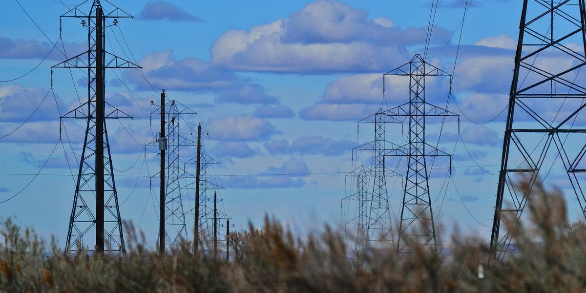 Fot. Materiały prasowe