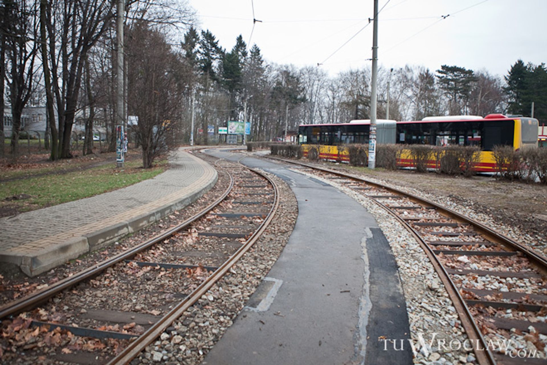  Po remoncie torowiska tramwaje wreszcie wracają na Sępolno
