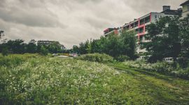 [Wrocław] Projekt parku na Gaju bliski ostatecznego kształtu
