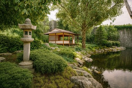 Rusza budowa Japońskiego Ogrodu Wyobraźni w Poznaniu [FILM]