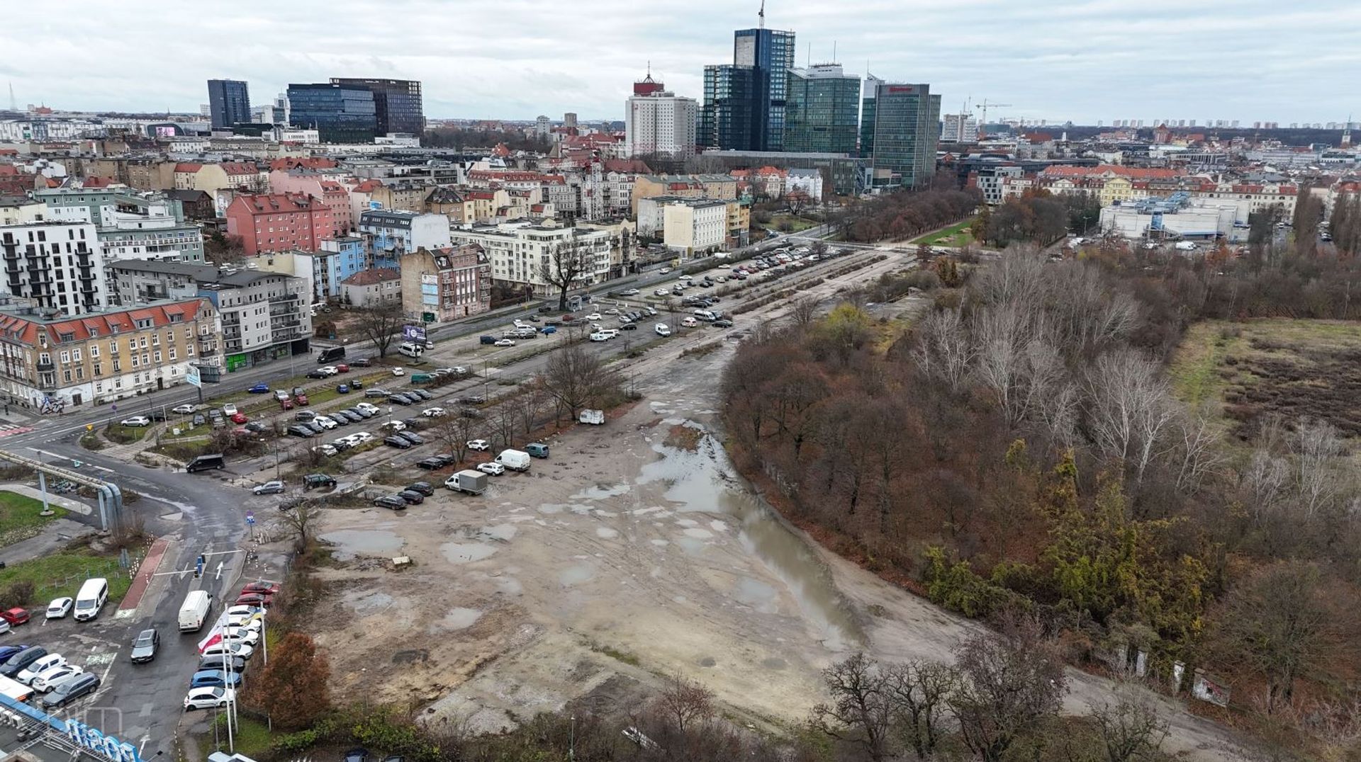 Zieleń zamiast betonu przy stadionie Szyca i na os. Piastowskim