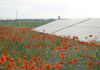 RWE uruchamia farmę fotowoltaiczną w Wielkopolsce