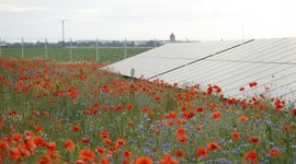 RWE uruchamia farmę fotowoltaiczną w Wielkopolsce