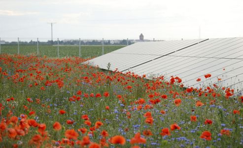 RWE uruchamia farmę fotowoltaiczną w Wielkopolsce