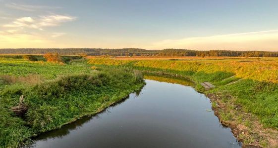 Pomorskie: Kolejny etap przygotowań do odbudowy rzeki Liwa