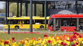 Wielka inwestycja w Katowicach. 14 firm chce budować nową linię tramwajową