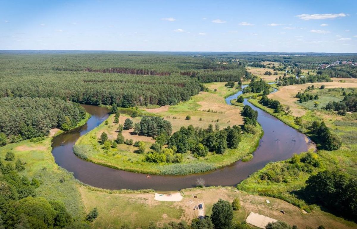 Fot. UMWŁ