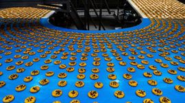 Globalny koncern Mondelez rozbudowuje za ponad 680 mln złotych fabrykę w Płońsku