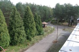 Kup sobie las. Orange sprzedaje unikatową nieruchomość nieopodal Warszawy