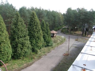 Kup sobie las. Orange sprzedaje unikatową nieruchomość nieopodal Warszawy