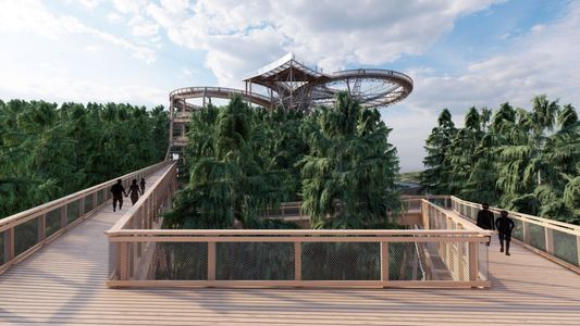 Powstaje Sky Walk Serce Poronina – ścieżka w koronach drzew z widokiem na Tatry [WIZUALIZACJE]