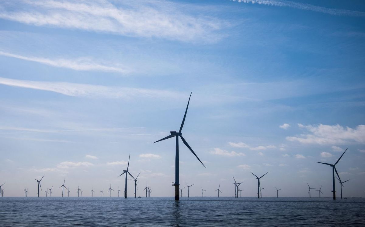 Fot. Materiały prasowe