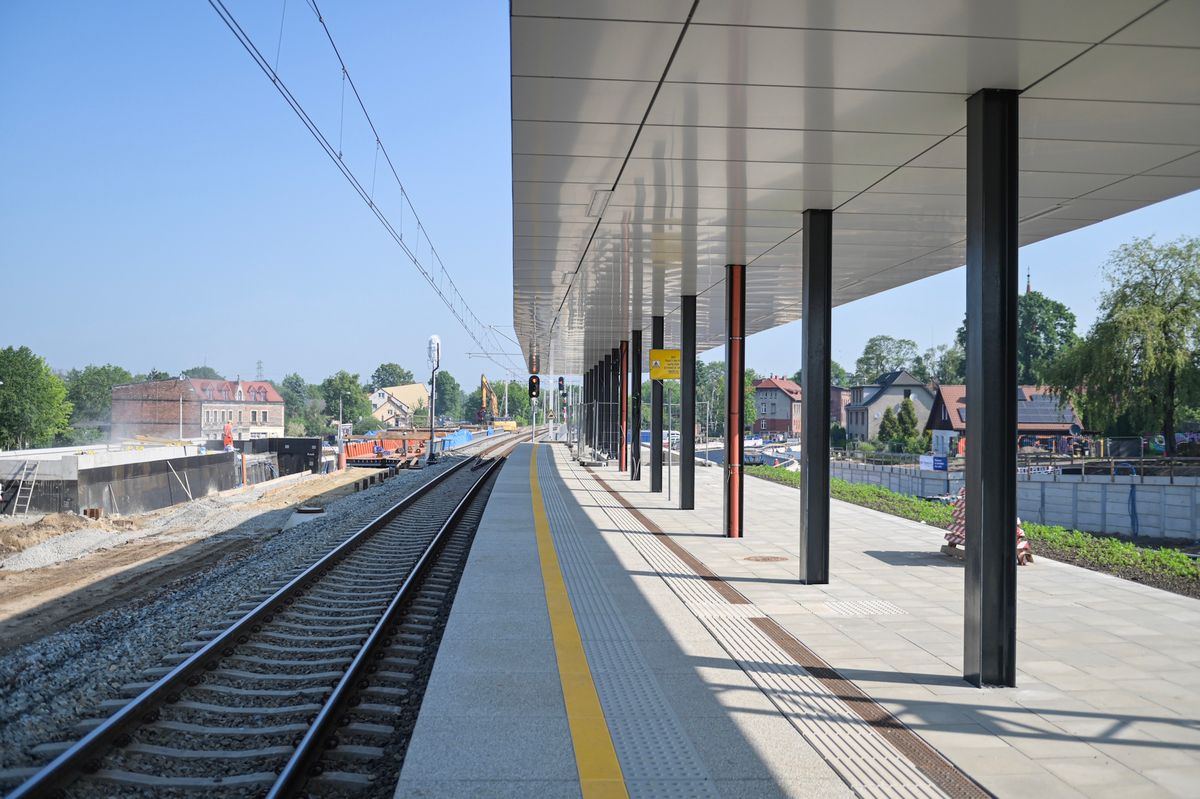 Fot. M. Buksa / UM Gliwice