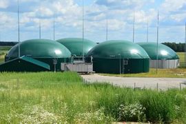Polska Grupa Biogazowa rozbuduje biogazownię Dzierżki
