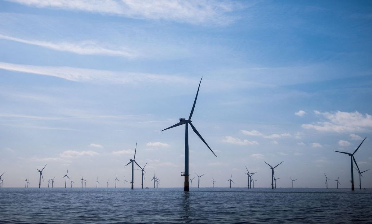 Fot. Materiały prasowe