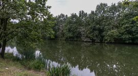 Wrocław: Poznańska firma przygotuje projekty parków na Swojczycach i Żernikach