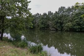 Wrocław: Poznańska firma przygotuje projekty parków na Swojczycach i Żernikach