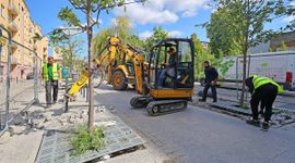 Zamiast 6 supermarketów - zieleń. Łódź walczy z betonozą. 