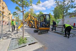Zamiast 6 supermarketów - zieleń. Łódź walczy z betonozą. 