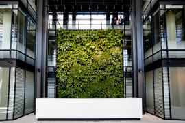 [Warszawa] Pracownicy Eurocentrum wybrali zielone otoczenie