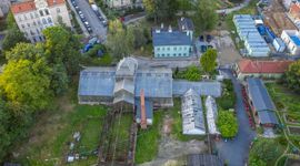 Legnica: Rusza rewitalizacja zabytkowej palmiarni