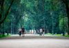 Zabytkowy Park Skaryszewski w Warszawie nabiera blasku