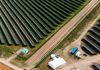 Ingka Investments otwiera wielki park solarny w woj. zachodniopomorskim