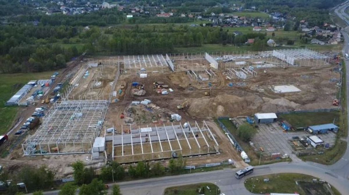 Fot. Materiały prasowe