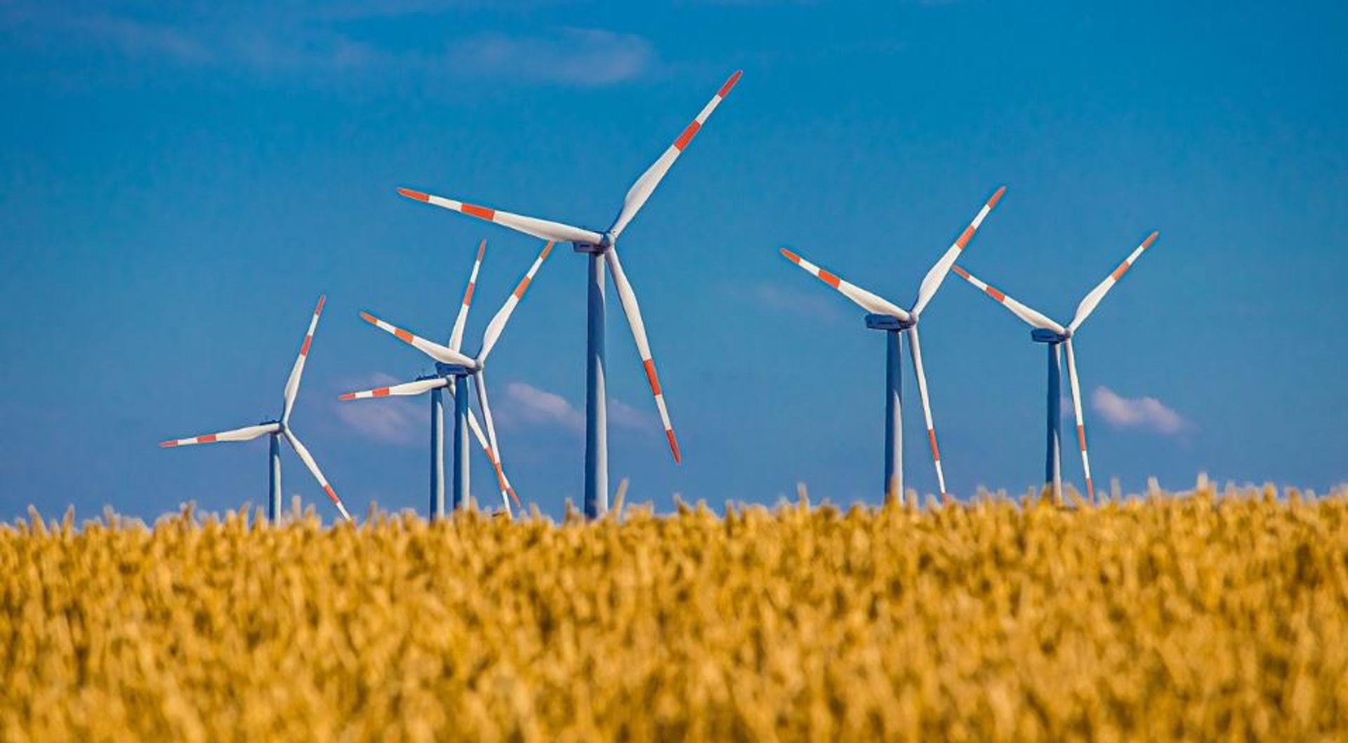 Projekt ustawy o elektrowniach wiatrowych: wsparcie inwestycji przyszłości