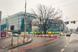 [Wrocław] Zamkną ulicę Suchą dla aut. Co z tramwajem? Urzędnicy: są ważniejsze inwestycje