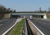GDDKiA ogłosiła przetarg na wykonanie projektu dla trasy S10 Piła-Wyrzysk