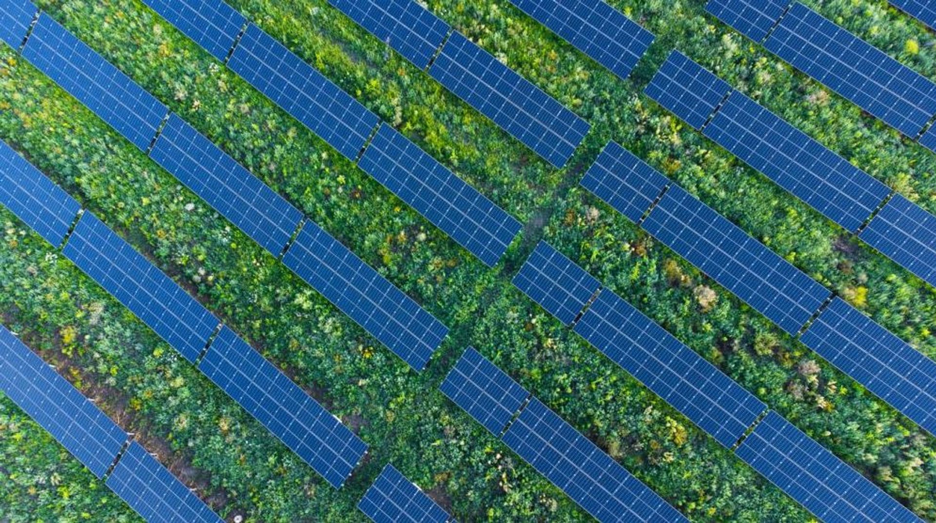 Grupa AB uruchomiła farmę fotowoltaiczną pod Wrocławiem