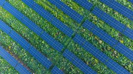 Grupa AB uruchomiła farmę fotowoltaiczną pod Wrocławiem